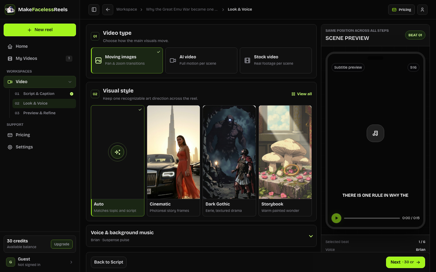 Look and Voice workspace with video type, visual styles, voice, music, and scene preview